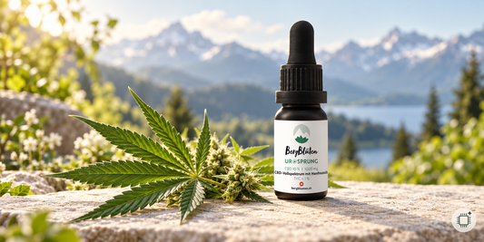 CBD bei Naturify - Unterschied zwischen THC und CBD erklärt im Blogg