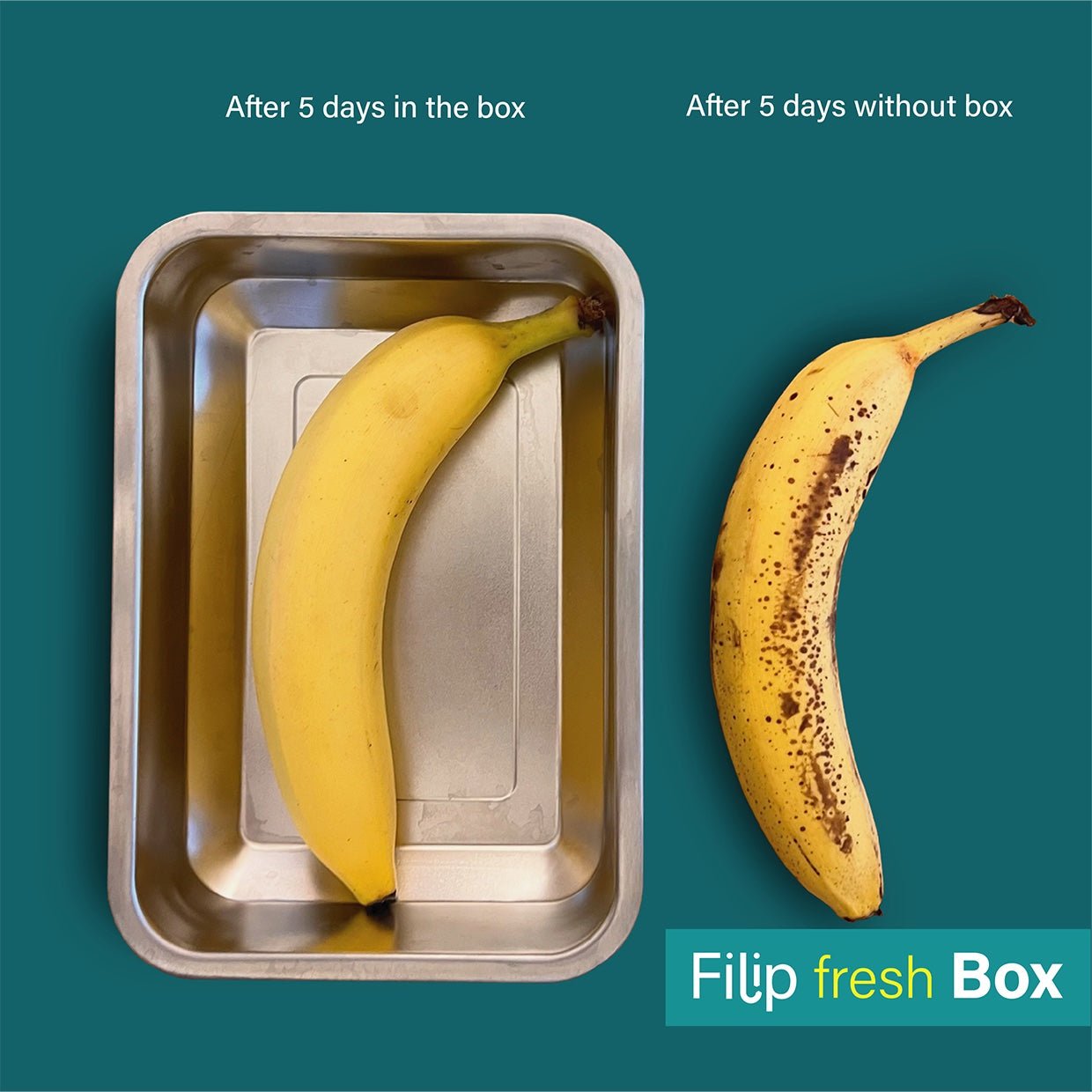Lunchbox Edelstahl filip® No3 | Vorratsdose - #shop_name